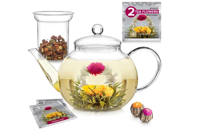 The best 4 glasses teapots With Infuser of 2024